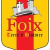 Logo of the association Foix Terre d'Histoire